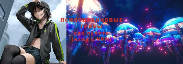 дурь Кукмор