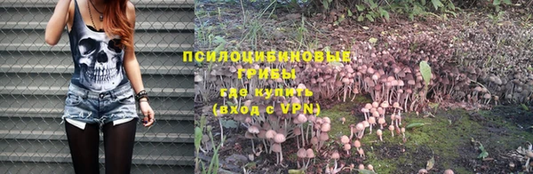 дурь Кукмор