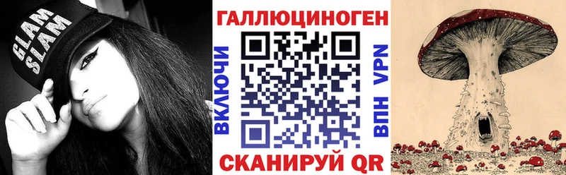 Галлюциногенные грибы Psilocybe  купить наркоту  Шумиха 